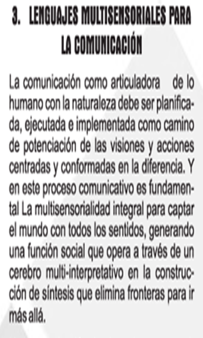 Imagen 7